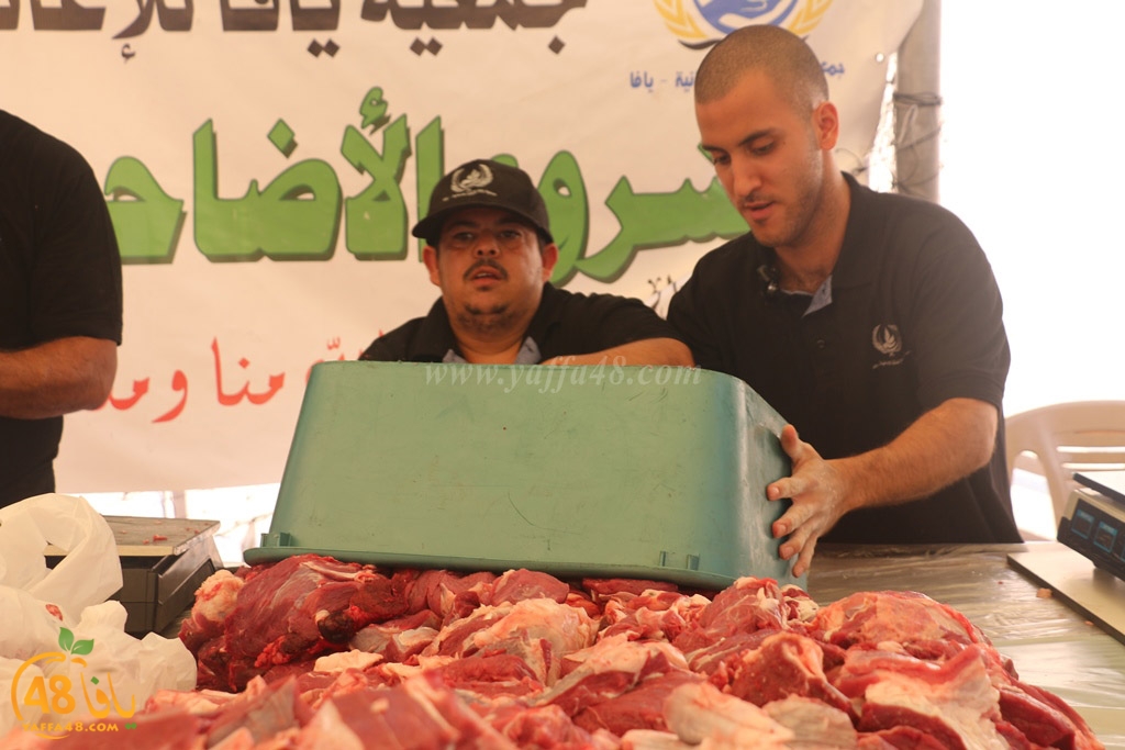 ada7y forthei (108).JPG